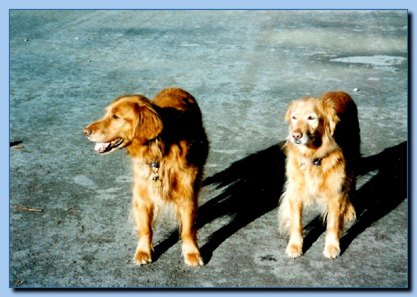 1-22  animal subjects